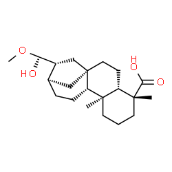 ChemSpider 2D Image | (5beta,8alpha,9beta,10alpha,13alpha,17R)-17-Hydroxy-17-methoxykauran-18-oic acid | C21H34O4