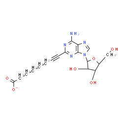 ChemSpider 2D Image | 2-(7-Carboxylato-1-heptyn-1-yl)-9-pentofuranosyl-9H-purin-6-amine | C18H22N5O6