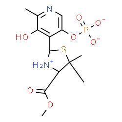 ChemSpider 2D Image | 5-Hydroxy-4-[4-(methoxycarbonyl)-5,5-dimethyl-1,3-thiazolidin-3-ium-2-yl]-6-methyl-3-pyridinyl phosphate | C13H18N2O7PS