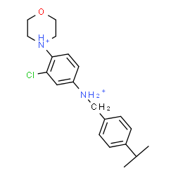 ChemSpider 2D Image | 4-{2-Chloro-4-[(4-isopropylbenzyl)ammonio]phenyl}morpholin-4-ium | C20H27ClN2O