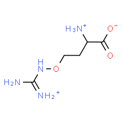 ChemSpider 2D Image | 2-Ammonio-4-({[ammonio(imino)methyl]amino}oxy)butanoate | C5H13N4O3