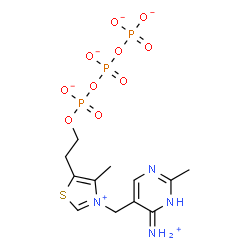 ChemSpider 2D Image | Thiazolium, 3-[(1,6-dihydro-6-imino-2-methyl-5-pyrimidinyl)methyl]-5-[2-[[hydroxy[[hydroxy(phosphonooxy)phosphinyl]oxy]phosphinyl]oxy]ethyl]-4-methyl-, bis(inner salt), ion(2-) | C12H17N4O10P3S