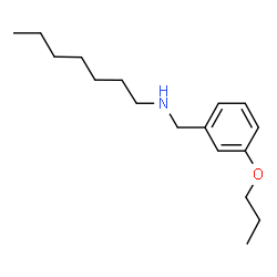 ChemSpider 2D Image | N-(3-Propoxybenzyl)-1-heptanamine | C17H29NO