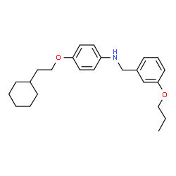 ChemSpider 2D Image | 4-(2-Cyclohexylethoxy)-N-(3-propoxybenzyl)aniline | C24H33NO2