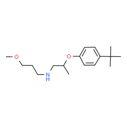 ChemSpider 2D Image | [2-(4-tert-butylphenoxy)propyl](3-methoxypropyl)amine | C17H29NO2