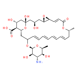ChemSpider 2D Image | (1S,3R,5S,7S,8E,12R,14E,16E,18E,20E,24R,25S,26R)-22-[(3-Amino-3,6-dideoxy-beta-L-idopyranosyl)oxy]-1,3,26-trihydroxy-12-methyl-10-oxo-6,11,28-trioxatricyclo[22.3.1.0~5,7~]octacosa-8,14,16,18,20-pentae
ne-25-carboxylic acid | C33H47NO13