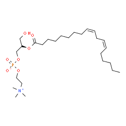 ChemSpider 2D Image | (2S)-3-Hydroxy-2-[(9Z,12Z)-9,12-octadecadienoyloxy]propyl 2-(trimethylammonio)ethyl phosphate | C26H50NO7P