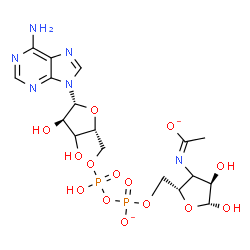 ChemSpider 2D Image | (1E)-N-[(2S,4R,5R)-2-[[[[(2R,4R,5R)-5-(6-aminopurin-9-yl)-3,4-dihydroxy-tetrahydrofuran-2-yl]methoxy-hydroxy-phosphoryl]oxy-oxido-phosphoryl]oxymethyl]-4,5-dihydroxy-tetrahydrofuran-3-yl]ethanimidate | C17H24N6O14P2