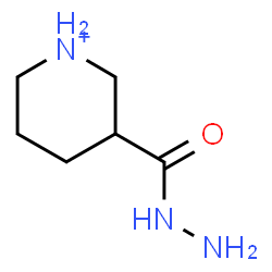 ChemSpider 2D Image | 3-(Hydrazinocarbonyl)piperidinium | C6H14N3O