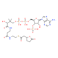 ChemSpider 2D Image | 5-oxo-furan-2-acetyl-CoA | C27H42N7O19P3S