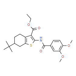 ChemSpider 2D Image | Ethyl 6-tert-butyl-2-[(3,4-dimethoxybenzoyl)amino]-4,5,6,7-tetrahydro-1-benzothiophene-3-carboxylate | C24H31NO5S