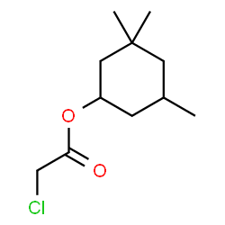 ChemSpider 2D Image | 3,3,5-Trimethylcyclohexyl chloroacetate | C11H19ClO2