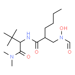 ChemSpider 2D Image | N-[1-(Dimethylamino)-3,3-dimethyl-1-oxo-2-butanyl]-2-{[formyl(hydroxy)amino]methyl}hexanamide | C16H31N3O4