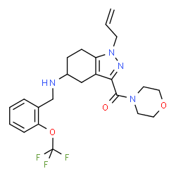 ChemSpider 2D Image | (1-Allyl-5-{[2-(trifluoromethoxy)benzyl]amino}-4,5,6,7-tetrahydro-1H-indazol-3-yl)(4-morpholinyl)methanone | C23H27F3N4O3
