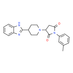 ChemSpider 2D Image | 3-[4-(1H-Benzimidazol-2-yl)-1-piperidinyl]-1-(3-methylphenyl)-2,5-pyrrolidinedione | C23H24N4O2