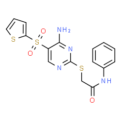ChemSpider 2D Image | 2-{[4-Amino-5-(2-thienylsulfonyl)-2-pyrimidinyl]sulfanyl}-N-phenylacetamide | C16H14N4O3S3