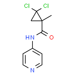 ChemSpider 2D Image | 2,2-Dichloro-1-methyl-N-(4-pyridinyl)cyclopropanecarboxamide | C10H10Cl2N2O