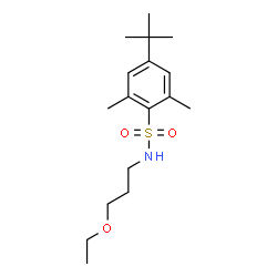 ChemSpider 2D Image | N-(3-Ethoxypropyl)-2,6-dimethyl-4-(2-methyl-2-propanyl)benzenesulfonamide | C17H29NO3S