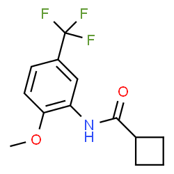 ChemSpider 2D Image | N-[2-Methoxy-5-(trifluoromethyl)phenyl]cyclobutanecarboxamide | C13H14F3NO2