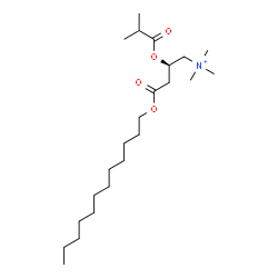 ChemSpider 2D Image | (2R)-4-(Dodecyloxy)-2-(isobutyryloxy)-N,N,N-trimethyl-4-oxo-1-butanaminium | C23H46NO4