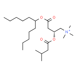 ChemSpider 2D Image | (2R)-N,N,N-Trimethyl-2-[(3-methylbutanoyl)oxy]-4-oxo-4-(6-undecanyloxy)-1-butanaminium | C23H46NO4