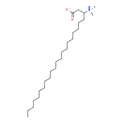 ChemSpider 2D Image | 3-(Dimethylammonio)tetracosanoate | C26H53NO2