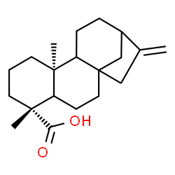 ChemSpider 2D Image | (5xi,9xi,10alpha)-Kaur-16-en-18-oic acid | C20H30O2