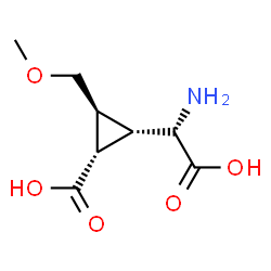 ChemSpider 2D Image | (1S,2S,3S)-2-[(S)-Amino(carboxy)methyl]-3-(methoxymethyl)cyclopropanecarboxylic acid | C8H13NO5