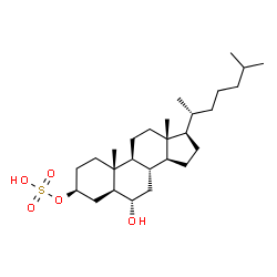 ChemSpider 2D Image | (3beta,5alpha,6alpha)-6-Hydroxycholestan-3-yl hydrogen sulfate | C27H48O5S
