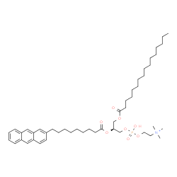 ChemSpider 2D Image | (7S)-7-{[9-(2-Anthryl)nonanoyl]oxy}-4-hydroxy-N,N,N-trimethyl-10-oxo-3,5,9-trioxa-4-phosphapentacosan-1-aminium 4-oxide | C47H75NO8P