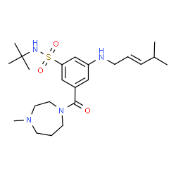 ChemSpider 2D Image | 3-[(4-Methyl-1,4-diazepan-1-yl)carbonyl]-5-{[(2E)-4-methyl-2-penten-1-yl]amino}-N-(2-methyl-2-propanyl)benzenesulfonamide | C23H38N4O3S