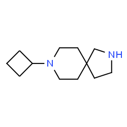 ChemSpider 2D Image | 8-Cyclobutyl-2,8-diazaspiro[4.5]decane | C12H22N2