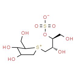 ChemSpider 2D Image | (2S,3S)-4-[3,4-Dihydroxy-2-(hydroxymethyl)tetrahydro-1-thiopheniumyl]-1,3-dihydroxy-2-butanyl sulfate | C9H18O9S2
