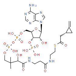 ChemSpider 2D Image | adenosine, 5'-O-[hydroxy[[hydroxy[3-hydroxy-2,2-dimethyl-4-[[3-[[2-[[2-[(1R)-2-methylenecyclopropyl]acetyl]thio]ethyl]amino]-3-oxopropyl]amino]-4-oxobutoxy]phosphinyl]oxy]phosphinyl]-, 3'-(dihydrogen phosphate) | C27H42N7O17P3S