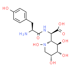 ChemSpider 2D Image | (2R)-[(2R,3R,4R,5R)-1,3,4,5-Tetrahydroxy-2-piperidinyl](L-tyrosylamino)acetic acid | C16H23N3O8