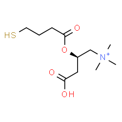 ChemSpider 2D Image | (2R)-3-Carboxy-N,N,N-trimethyl-2-[(4-sulfanylbutanoyl)oxy]-1-propanaminium | C11H22NO4S