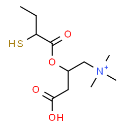 ChemSpider 2D Image | 3-Carboxy-N,N,N-trimethyl-2-[(2-sulfanylbutanoyl)oxy]-1-propanaminium | C11H22NO4S