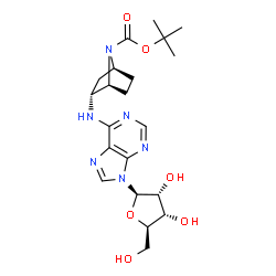 ChemSpider 2D Image | N-[(1S,2R,4S)-7-(tert-butoxycarbonyl)-7-azabicyclo[2.2.1]hept-2-yl]adenosine | C21H30N6O6