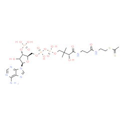 ChemSpider 2D Image | (9R)-1-[(2R,3S,4R,5R)-5-(6-Amino-9H-purin-9-yl)-4-hydroxy-3-(phosphonooxy)tetrahydro-2-furanyl]-3,5,9-trihydroxy-8,8-dimethyl-3,5-dioxido-10,14-dioxo-2,4,6-trioxa-11,15-diaza-3lambda~5~,5lambda~5~-dip
hosphaheptadecan-17-yl ethane(dithioate) | C23H38N7O16P3S2