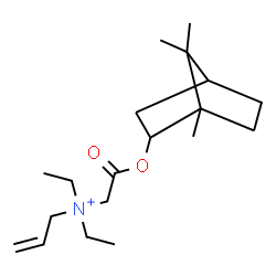 ChemSpider 2D Image | N,N-Diethyl-N-{2-oxo-2-[(1,7,7-trimethylbicyclo[2.2.1]hept-2-yl)oxy]ethyl}-2-propen-1-aminium | C19H34NO2