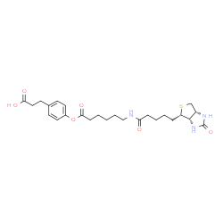 ChemSpider 2D Image | 3-(4-{[6-({5-[(3aS,4S,6aR)-2-Oxohexahydro-1H-thieno[3,4-d]imidazol-4-yl]pentanoyl}amino)hexanoyl]oxy}phenyl)propanoic acid | C25H35N3O6S