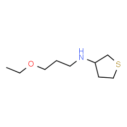 ChemSpider 2D Image | N-(3-Ethoxypropyl)tetrahydro-3-thiophenamine | C9H19NOS