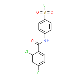 ChemSpider 2D Image | 4-[(2,4-Dichlorobenzoyl)amino]benzenesulfonyl chloride | C13H8Cl3NO3S