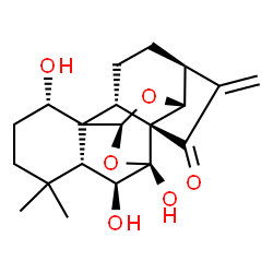 ChemSpider 2D Image | (2S,5S,8R,9R,11S,13R,14S,15R,19S)-13,14,19-Trihydroxy-16,16-dimethyl-6-methylene-10,12-dioxahexacyclo[9.8.0.0~1,15~.0~2,8~.0~5,9~.0~8,13~]nonadecan-7-one | C20H26O6