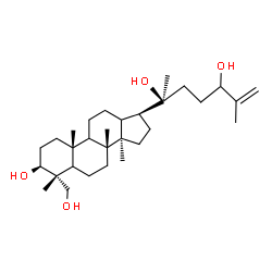 ChemSpider 2D Image | (3beta,5xi,9xi,13xi)-Dammar-25-ene-3,20,24,28-tetrol | C30H52O4