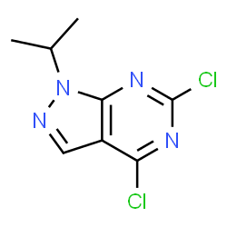 ChemSpider 2D Image | 4,6-Dichloro-1-isopropyl-1H-pyrazolo[3,4-d]pyrimidine | C8H8Cl2N4