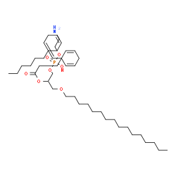 ChemSpider 2D Image | 25-Amino-22-hydroxy-22-oxido-17,21,23-trioxa-22lambda~5~-phosphapentacosan-19-yl (4Z,7Z,10Z,13Z)-4,7,10,13-docosatetraenoate | C43H80NO7P