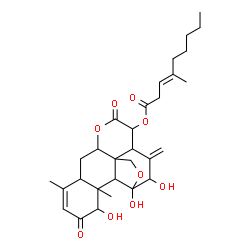 ChemSpider 2D Image | 1,11,12-Trihydroxy-2,16-dioxo-11,20-epoxypicrasa-3,13(21)-dien-15-yl (3E)-4-methyl-3-nonenoate | C30H40O9