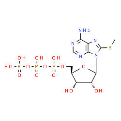 ChemSpider 2D Image | 9-[5-O-(Hydroxy{[hydroxy(phosphonooxy)phosphoryl]oxy}phosphoryl)-D-ribofuranosyl]-8-(methylsulfanyl)-9H-purin-6-amine | C11H18N5O13P3S