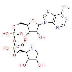 ChemSpider 2D Image | 9-{5-O-[{[{[(2R,3R,4S)-3,4-Dihydroxy-2-pyrrolidinyl]methoxy}(hydroxy)phosphoryl]oxy}(hydroxy)phosphoryl]-D-ribofuranosyl}-9H-purin-6-amine | C15H24N6O12P2